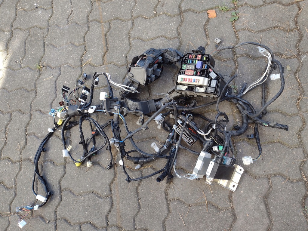 фото №5, Жгут электропроводка toyota yaris iii 1.4d