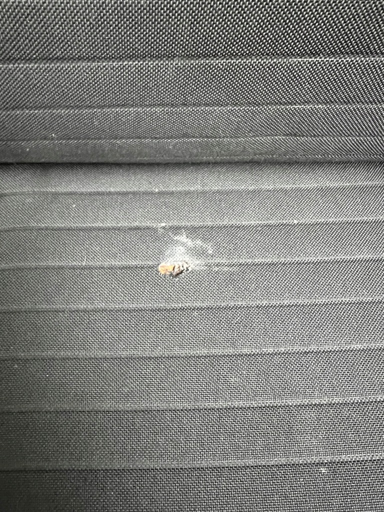 фото №6, Сидіння заднє сидіння обшивки renault clio iv