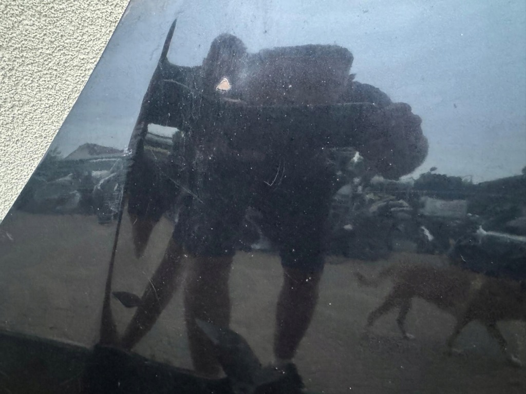 фото №9, Капот, бампер, крила, балка opel zafira b колір z20r