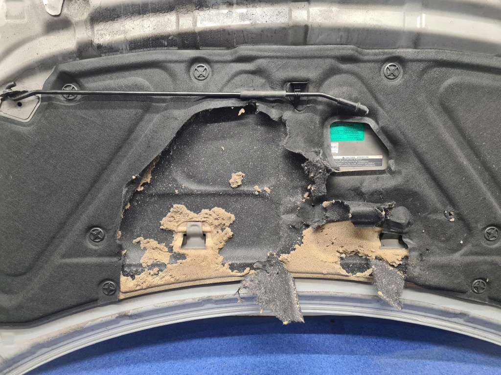 фото №8, Renault koleos i капот передняя tekxa