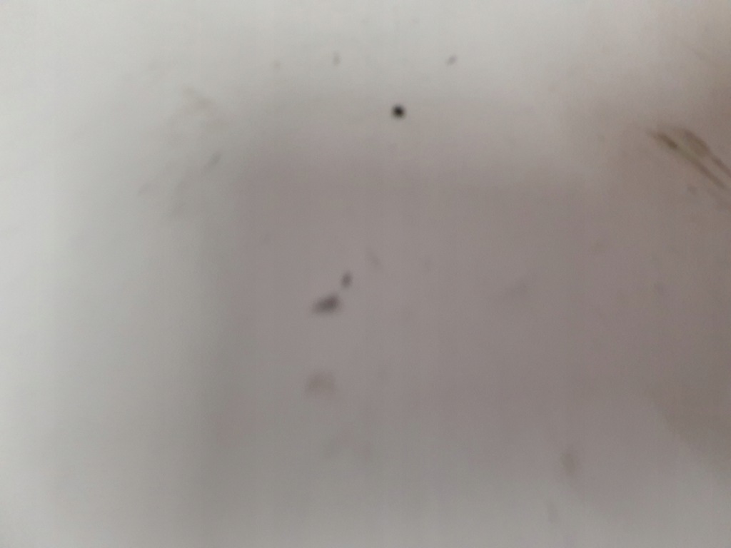 фото №9, Балка бампера передний перед mazda rx-8