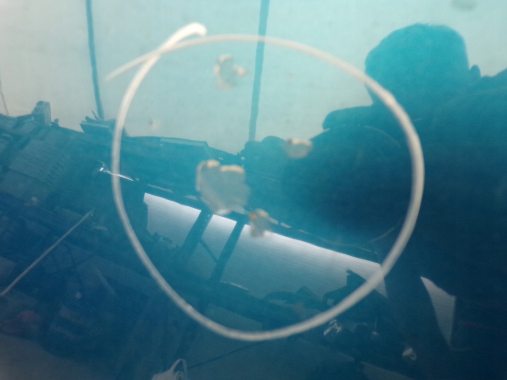 фото №5, Капот кришка двигуна peugeot 207 cc колір kmud