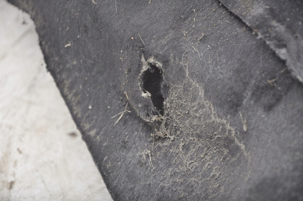 фото №6, Maserati ghibli iii підкрилок перед передні праве