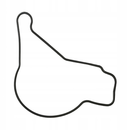 Купить Уплотнительное кольцо насоса mvl1200292