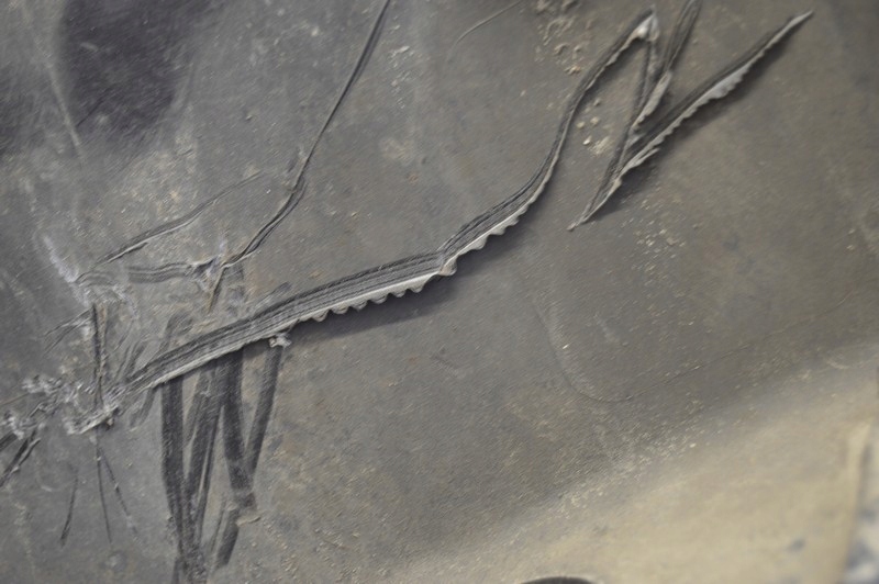 фото №13, Накладка порог правая czarna 1505862 mini cooper one r50 lift 04-06