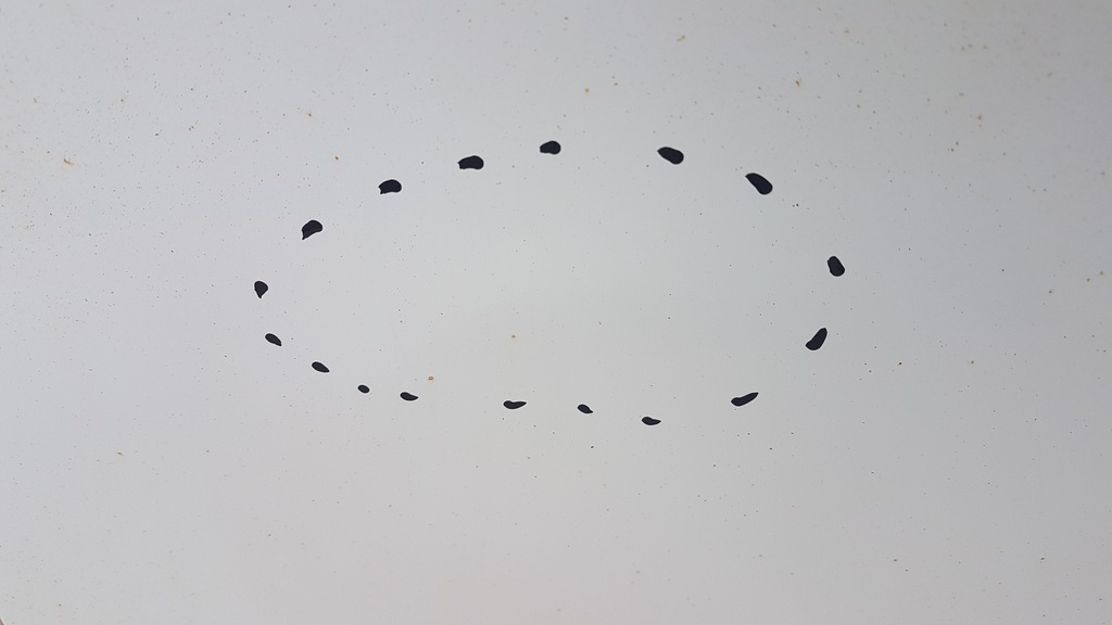 фото №6, Двері перед ліва toyota hilux vii 05-