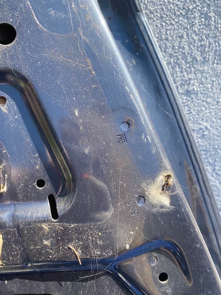 фото №7, Opel insignia a kombi двері ліва задні