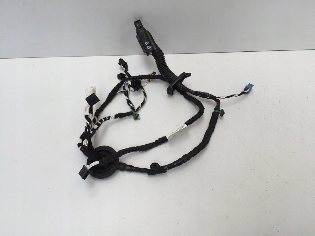 фото №1, Seat tarraco жгут дверь правый перед 5fk971121p