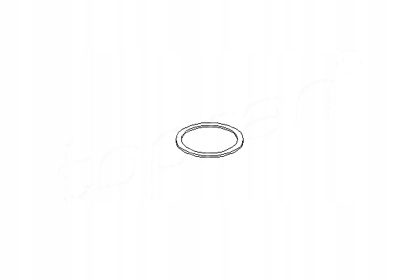 Topran 206 580 кольцо уплотнительный, форсунка Доставка