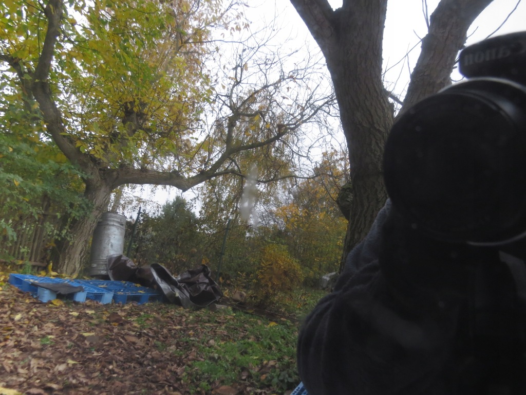 фото №8, Капот крышка двигателя lift ly9b audi a4 s4 b8