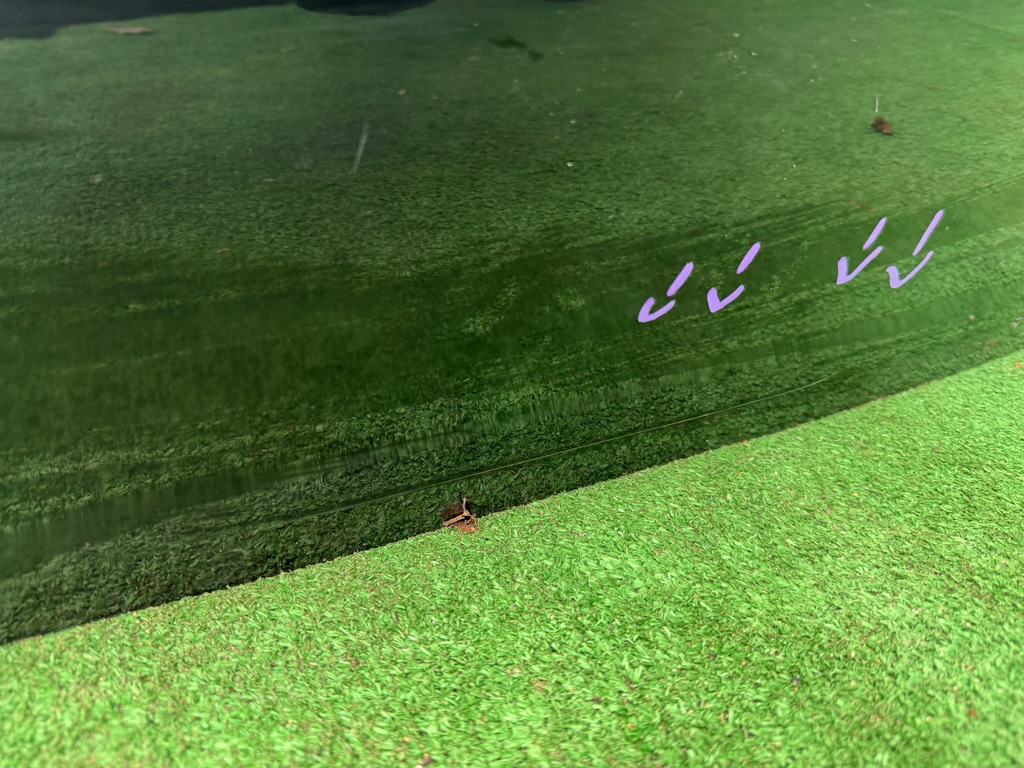 фото №10, Ford mustang mach-e крышка багажника багажника