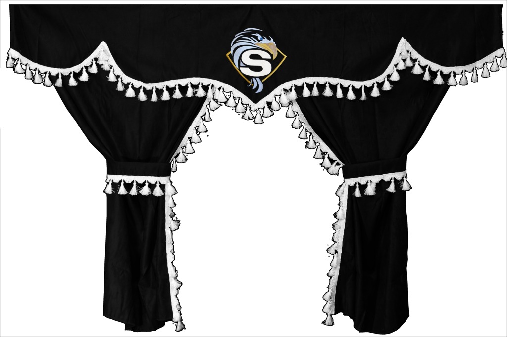 фото №1, Шторы окон шторы do кабины tir scania r комплект