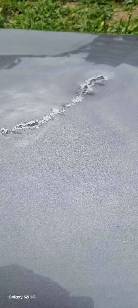 фото №8, Капот крышка двигателя nissan note ii e12 2014