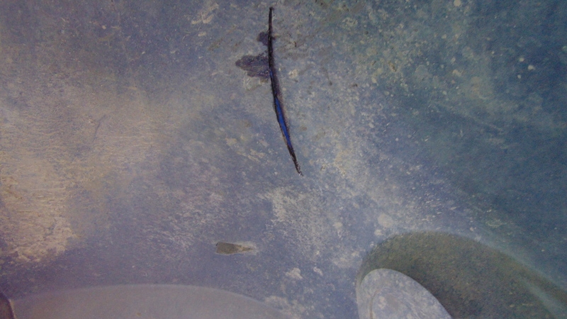 фото №10, Бампер перед master ii movano ii 03-10 rok