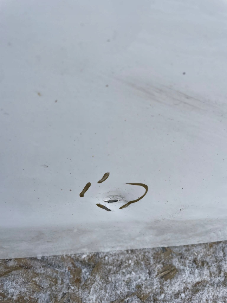 фото №8, Дверь задние задняя левая peugeot 308 ii t9 13- kombi