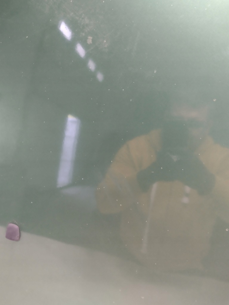 фото №11, Капот, кришка двигуна fiat doblo i k: 307