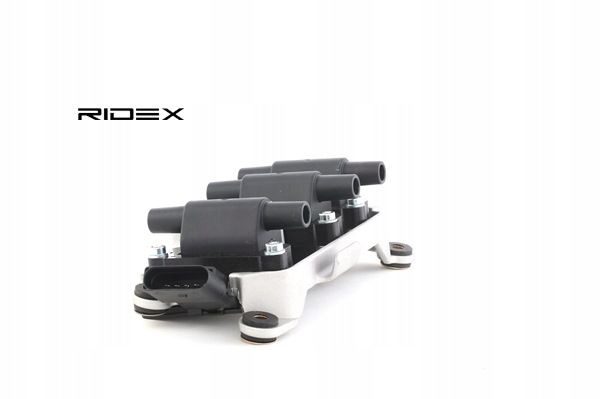 фото №16, Ridex 689c0042 катушка зажигания do vw passat variant 3b6 passat 3b3