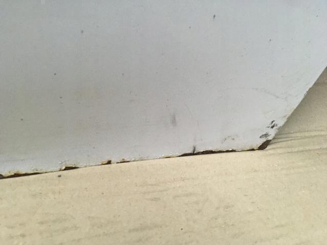 фото №13, Двері правий перед ford transit 06-12 повний