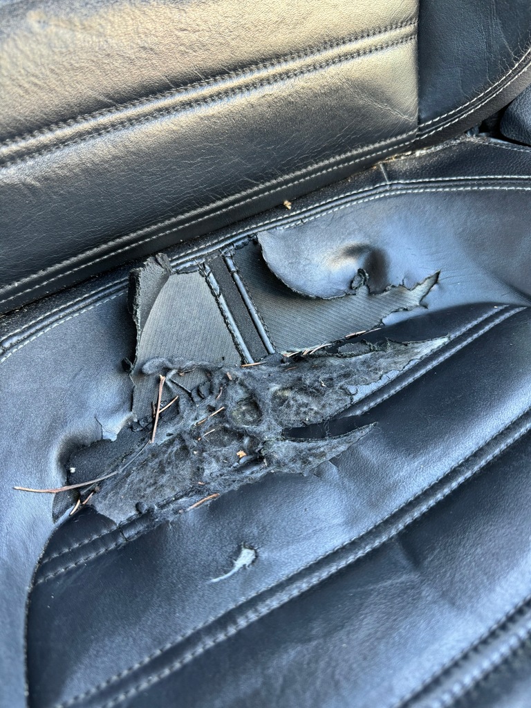 фото №6, Vw passat cc комплект сидінь обшивка дверей двері обшивки сидіння сидіння заднє сидіння