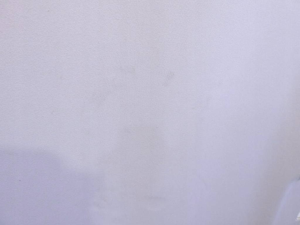 фото №7, Потолок citroen c5 i lift 96316487bj