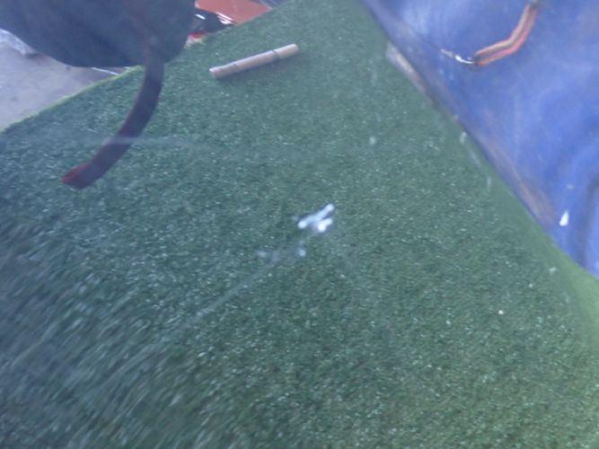 Ford focus mk3 рестайлінг  14- капот в Україні