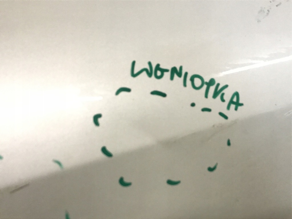 фото №4, Дверь задняя задние правое tesla y