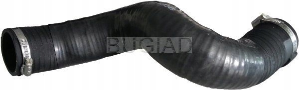 фото №2, Bugiad 86646 шланг воздуха наддувочный