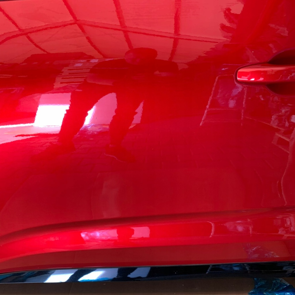 Двері ліва перед передні молдинг петлі скло bixpa tennp renault austral Доставка