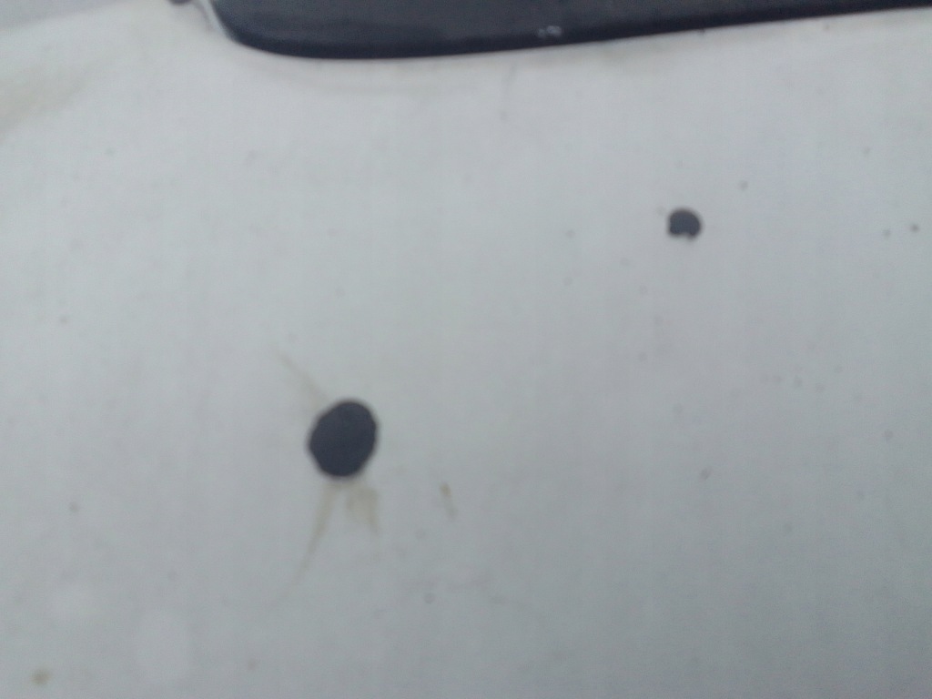 Капот bmw e90 Доставка