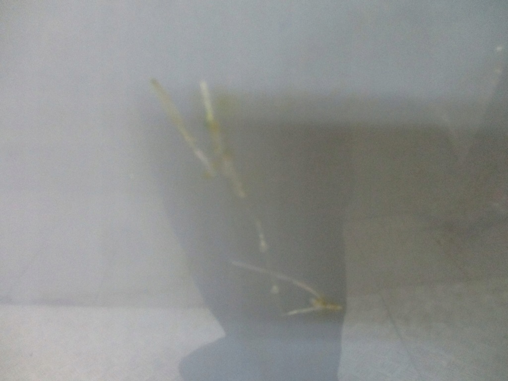 фото №4, Капот renault laguna ii teb66