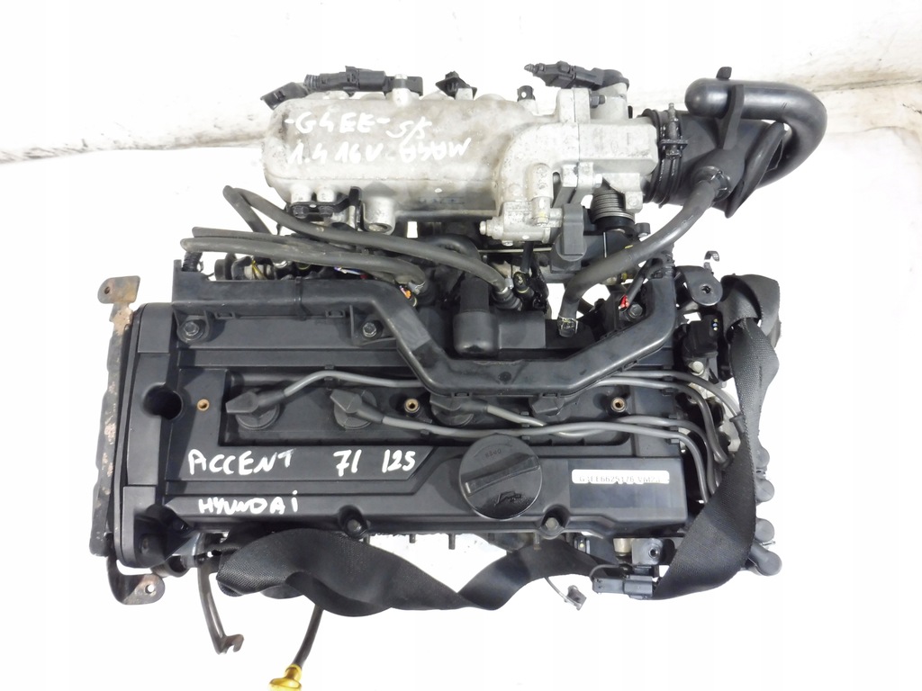 фото №10, Двигатель блок двигателя g4ee hyundai getz accent iii kia rio ii 1.4 16v 97 km