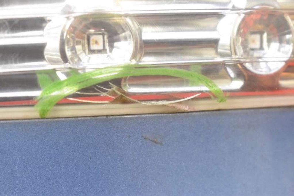 фото №14, Зеркало левая голубой 876102y970xaf uk hyundai ix35 09-13 8 pin