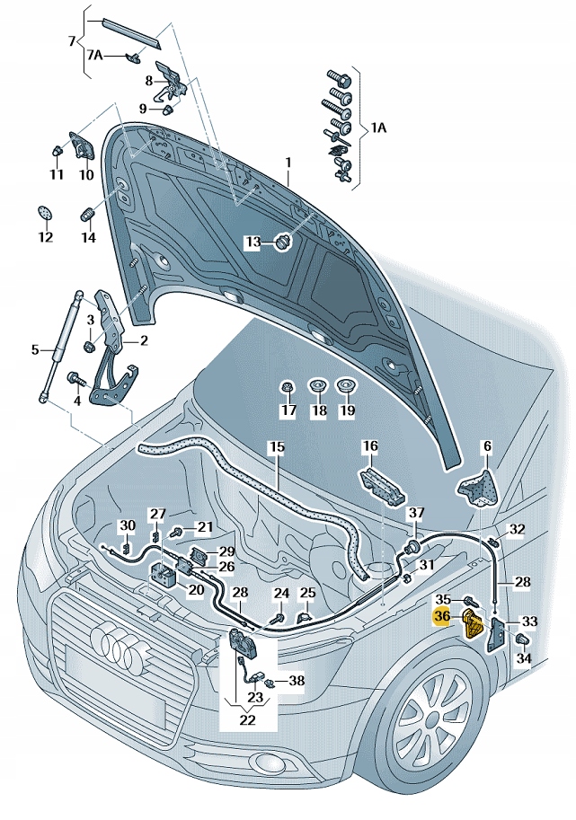фото №1, Кронштейн відкривання передньої капот audi a1 aso оригінал