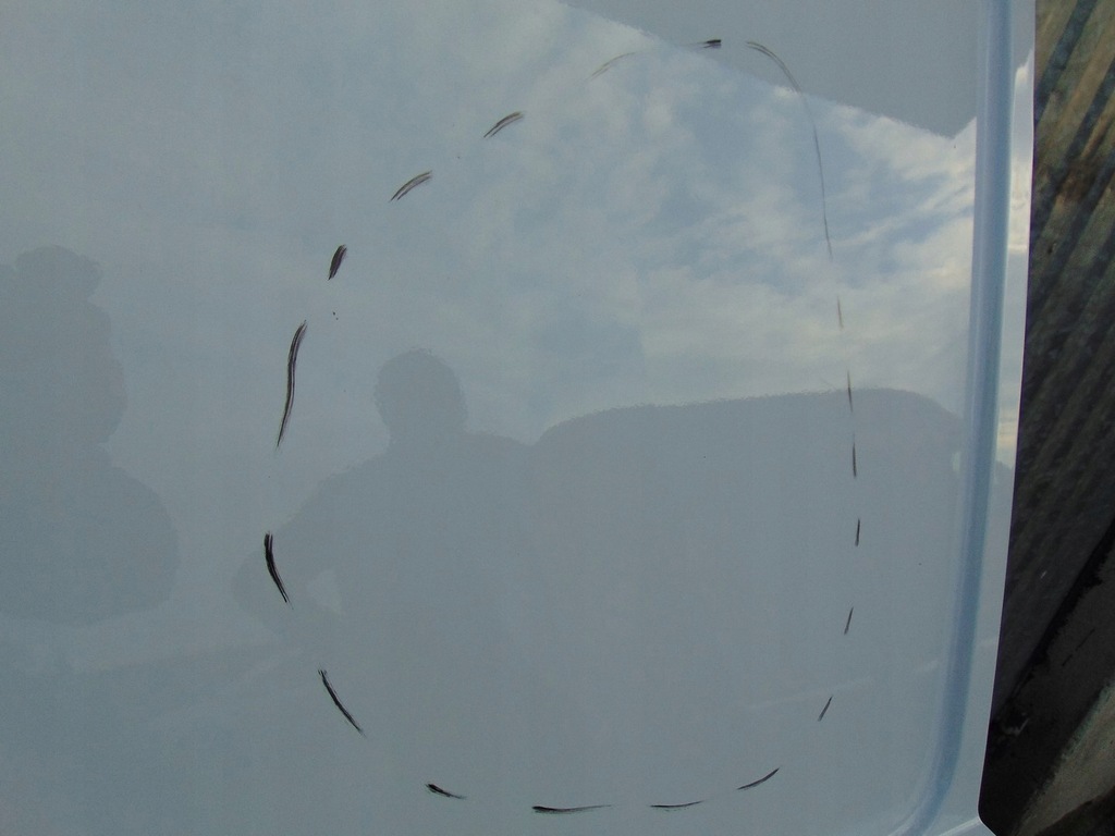 фото №7, Двері зсувні праве бічний розсувні ford transit custom mk2 новий model 23-