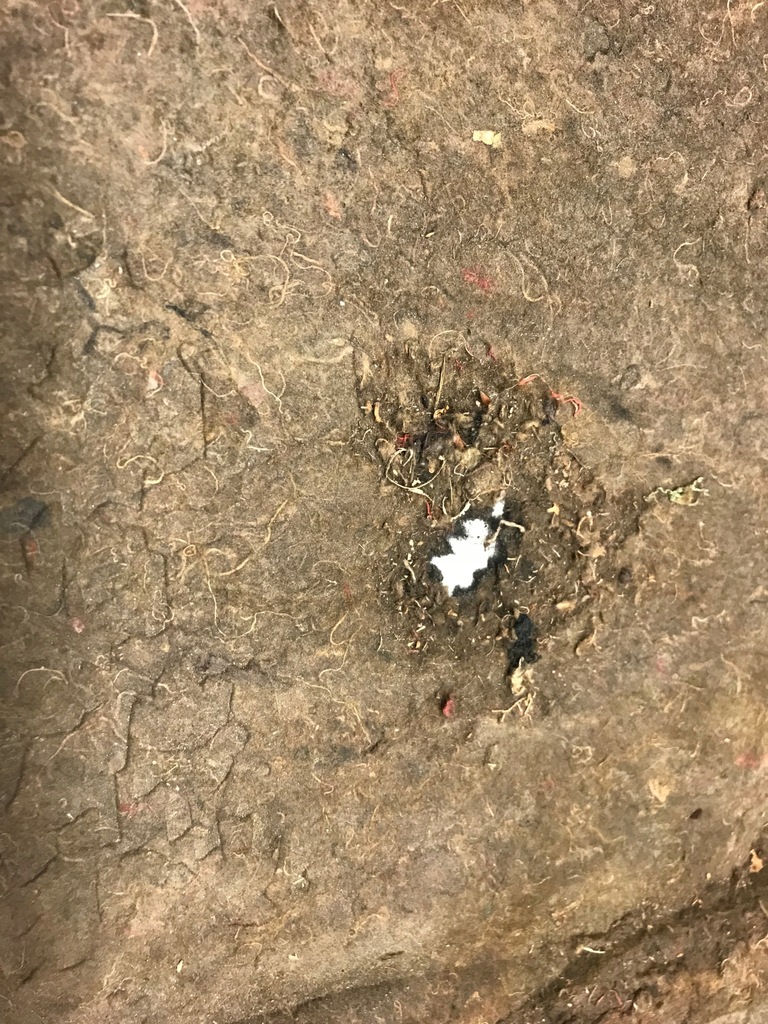 фото №8, Шумоізоляція шумоізоляція підкрилок капот renault megane ii 02-06 кліпси