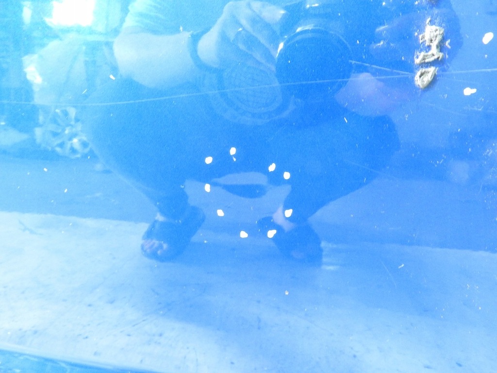 фото №6, Fiat sedici 06-12 zcg дверь правый задняя