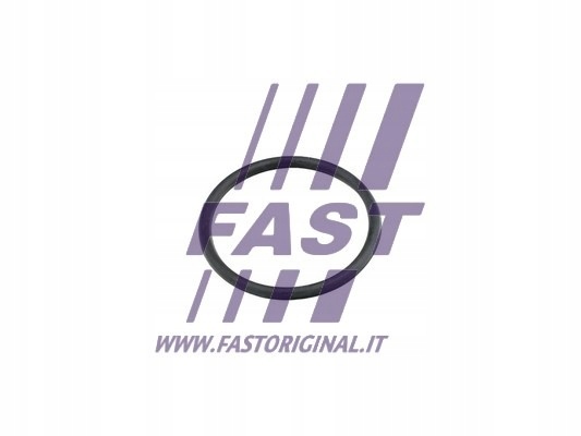 Уплотнительное кольцо ford transit 06 насоса воды ft49920 fast Цена