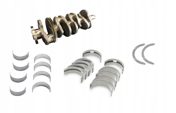 Купити Wał колінчастий з вкладишами renault 2.0dci m9r