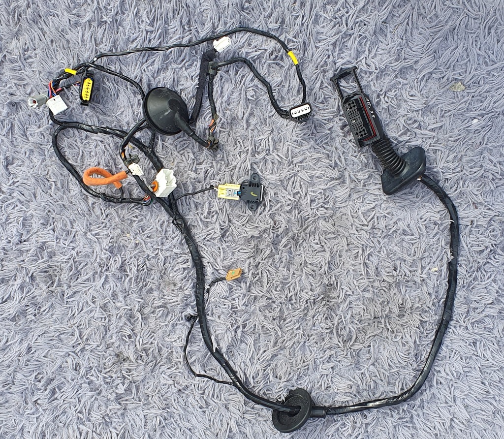 фото №1, Джгут двері santa fe iv 91981-s1010