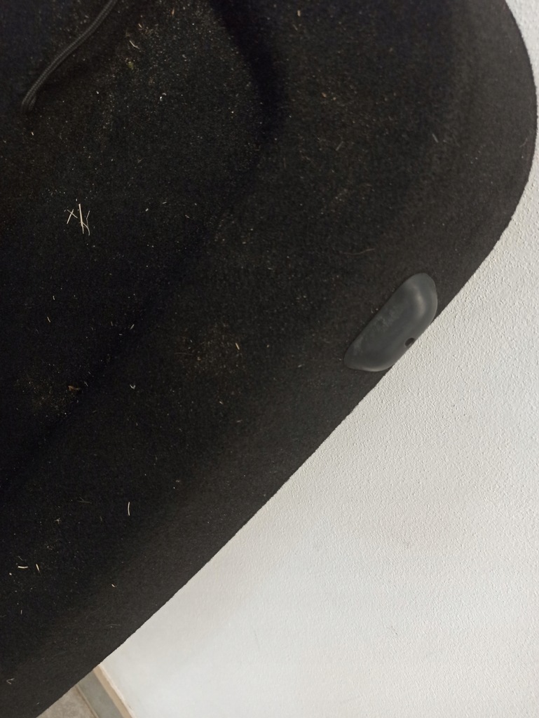 фото №12, Renault arkana полиця багажника 794200640r