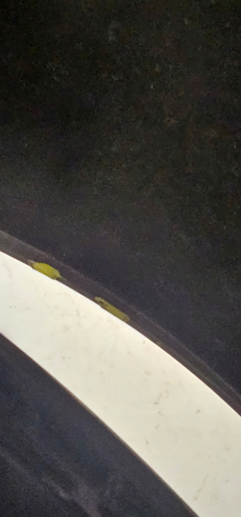 Новый оригинальный бампер перед передний renault scenic 3 3 x-mod Доставка