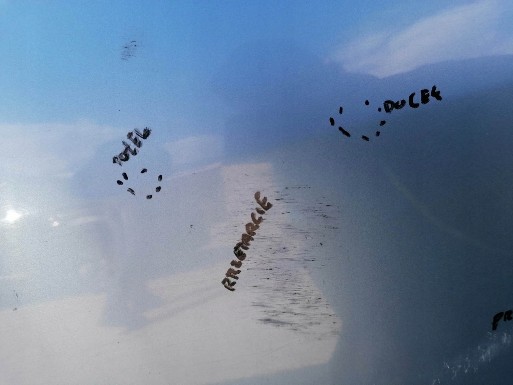 фото №8, Двері ліва перед renault grand scenic iii terpa