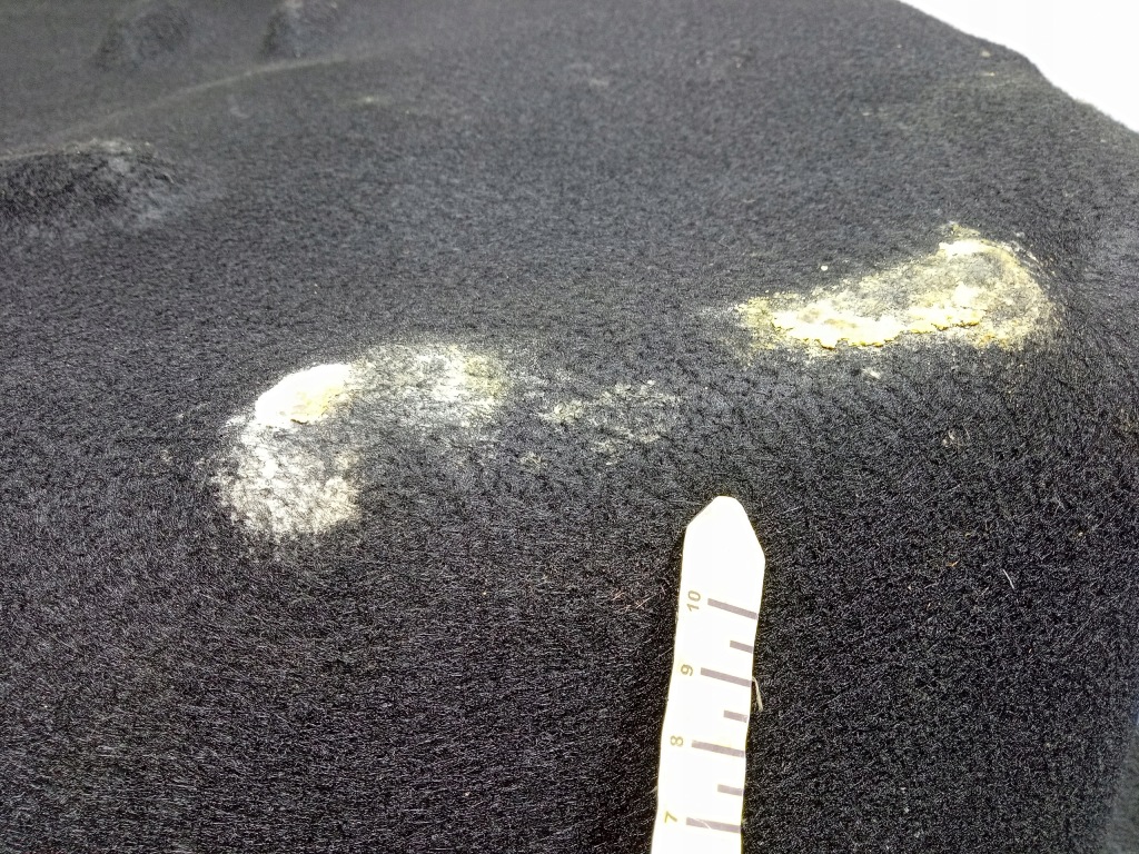 фото №7, Jaguar xf i x250 sedan ніша обшивка колеса запасного 8x23-45026-ab