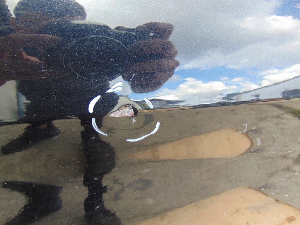 фото №6, Двері правий перед ford kuga mk1 колір f8