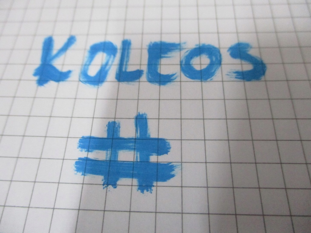 фото №5, Стеля renault koleos 2 ii