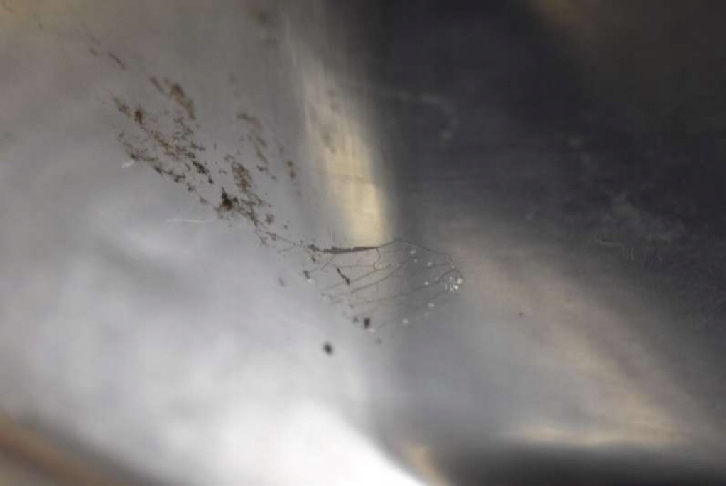 фото №8, Крышка багажника багажника задняя задняя czarna volvo v50 04-12