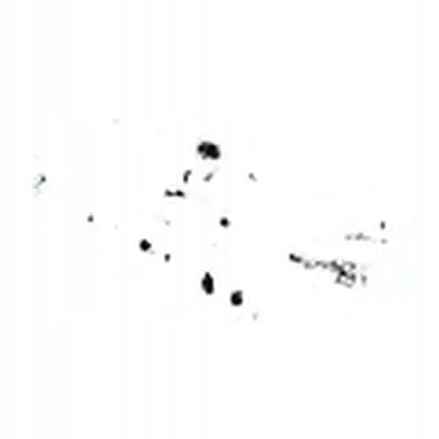 фото №1, Коллектор всасывающий 89260e meat & doria