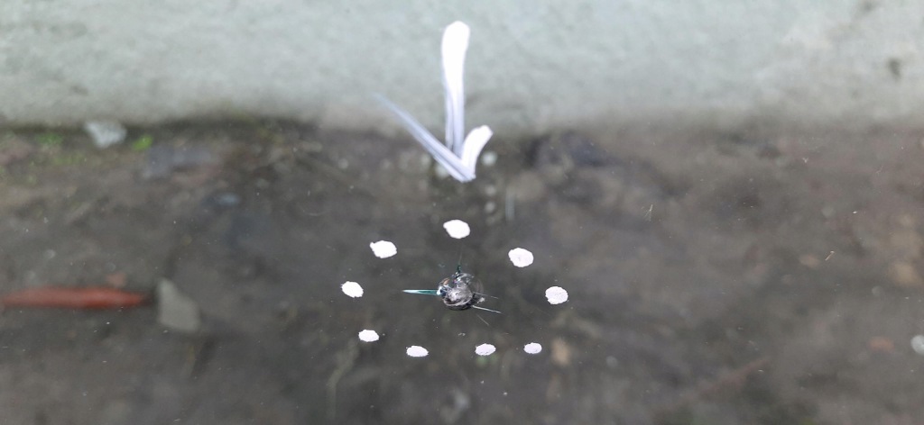 фото №6, Стекло лобовое датчик перед anglik peugeot 508 i