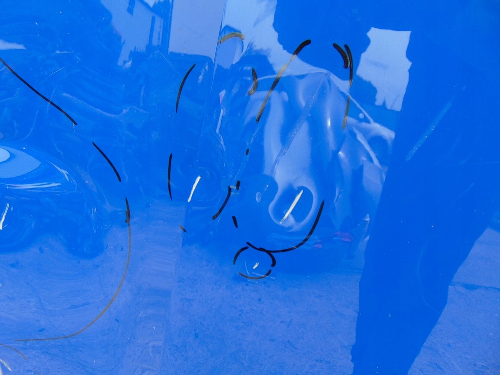 фото №9, Капот крышка двигателя skoda octavia iv 5e3823155