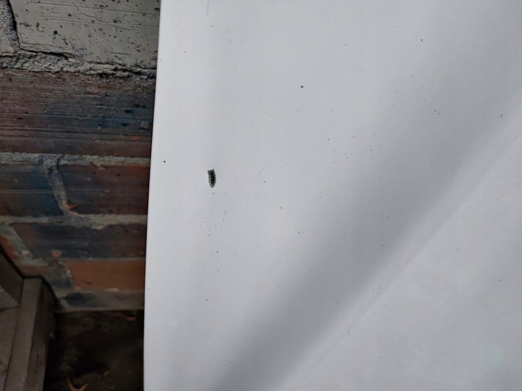 Ford mondeo mk5 2.0 tdci капот fd белый Киев